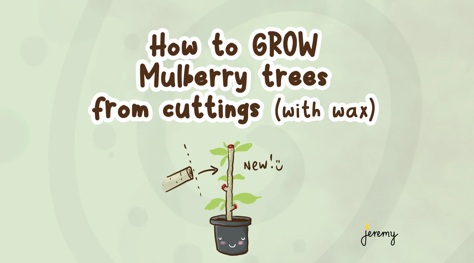 How to grow mulberry trees from cuttings with wax